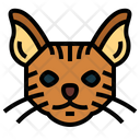 پیش‌نمایش فایل chausie-cat-7104833 از پک گربه‌ها