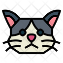 پیش‌نمایش فایل cymric-cat-7104834 از پک گربه‌ها