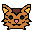 پیش‌نمایش فایل laperm-cat-7104837 از پک گربه‌ها