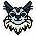 پیش‌نمایش فایل maine-coon-cat-7104838 از پک گربه‌ها
