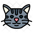پیش‌نمایش فایل manx-cat-7104839 از پک گربه‌ها