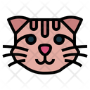 پیش‌نمایش فایل munchkin-cat-7104840 از پک گربه‌ها