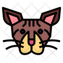 پیش‌نمایش فایل oriental-cat-7104843 از پک گربه‌ها