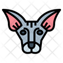 پیش‌نمایش فایل peterbald-cat-7104845 از پک گربه‌ها