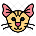پیش‌نمایش فایل savannah-cat-7104848 از پک گربه‌ها