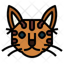 پیش‌نمایش فایل serengeti-cat-7104850 از پک گربه‌ها