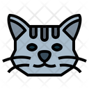 پیش‌نمایش فایل shorthair-cat-7104851 از پک گربه‌ها