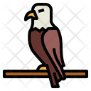 پیش‌نمایش فایل eagle-7105089 از پک Eagle