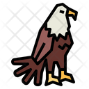 پیش‌نمایش فایل eagle-7105091 از پک Eagle