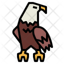 پیش‌نمایش فایل eagle-7105102 از پک Eagle