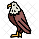 پیش‌نمایش فایل eagle-7105117 از پک Eagle