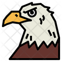 پیش‌نمایش فایل eagle-face-7105095 از پک Eagle