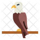 پیش‌نمایش فایل eagle-7105161 از پک Eagle