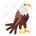 پیش‌نمایش فایل eagle-7105163 از پک Eagle