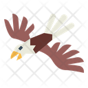 پیش‌نمایش فایل eagle-7105170 از پک Eagle