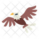 پیش‌نمایش فایل eagle-7105171 از پک Eagle