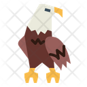 پیش‌نمایش فایل eagle-7105174 از پک Eagle