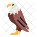 پیش‌نمایش فایل eagle-7105189 از پک Eagle