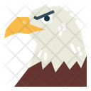 پیش‌نمایش فایل eagle-face-7105167 از پک Eagle