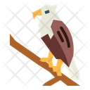 پیش‌نمایش فایل eagle-on-tree-7105169 از پک Eagle