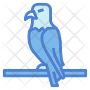 پیش‌نمایش فایل eagle-7105197 از پک Eagle
