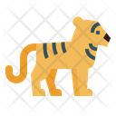 پیش‌نمایش فایل tiger-7105303 از پک ببر