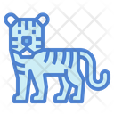 پیش‌نمایش فایل tiger-7105353 از پک ببر