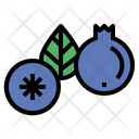 پیش‌نمایش فایل blueberry-7090029 از پک میوه‌ها
