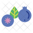 پیش‌نمایش فایل blueberry-7090101 از پک میوه‌ها