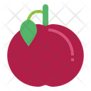 پیش‌نمایش فایل plum-7090123 از پک میوه‌ها