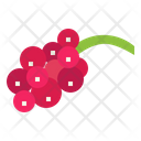 پیش‌نمایش فایل red-currant-7090128 از پک میوه‌ها