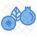پیش‌نمایش فایل blueberry-7090137 از پک میوه‌ها