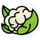 پیش‌نمایش فایل cauliflower-7090550 از پک گیاه‌خواری