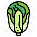 پیش‌نمایش فایل chinese-cabbage-7090551 از پک گیاه‌خواری