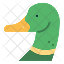 پیش‌نمایش فایل duck-7090926 از پک حیوانات