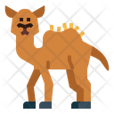 پیش‌نمایش فایل camel-7105632 از پک Camel