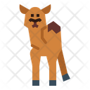 پیش‌نمایش فایل camel-7105638 از پک Camel