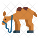 پیش‌نمایش فایل camel-7105639 از پک Camel