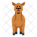 پیش‌نمایش فایل camel-7105640 از پک Camel