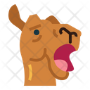 پیش‌نمایش فایل camel-face-7105621 از پک Camel