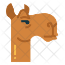 پیش‌نمایش فایل camel-face-7105623 از پک Camel