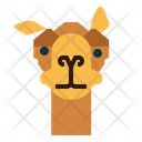پیش‌نمایش فایل camel-face-7105626 از پک Camel
