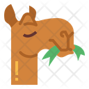 پیش‌نمایش فایل eating-camel-7105650 از پک Camel