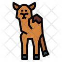 پیش‌نمایش فایل camel-7105566 از پک Camel