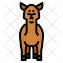 پیش‌نمایش فایل camel-7105568 از پک Camel