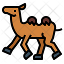 پیش‌نمایش فایل camel-7105569 از پک Camel