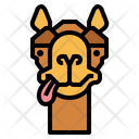 پیش‌نمایش فایل camel-7105577 از پک Camel