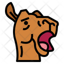 پیش‌نمایش فایل camel-face-7105549 از پک Camel