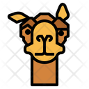 پیش‌نمایش فایل camel-face-7105554 از پک Camel