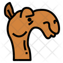پیش‌نمایش فایل camel-face-7105574 از پک Camel